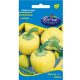 Rédei vetőmag - Édes almapaprika 0,4g