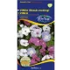 Rédei vetőmag - Vinka (rózsás meténg) 0,25g