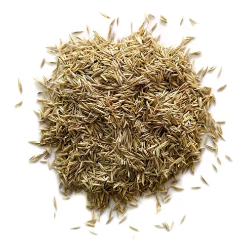 Töltés fűmagkeverék 20kg (600m2)