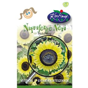 Rédei vetőmag - Napraforgó Nóri 3g